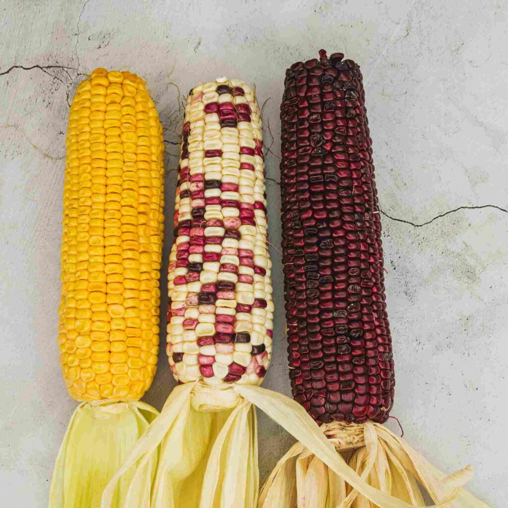 Purple corn, known as maíz morado, is the heart of this dessert